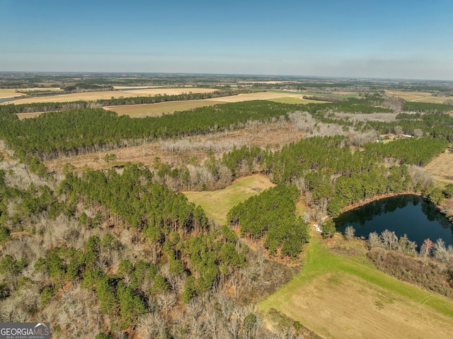 bird's eye view featuring a water view and a rural view