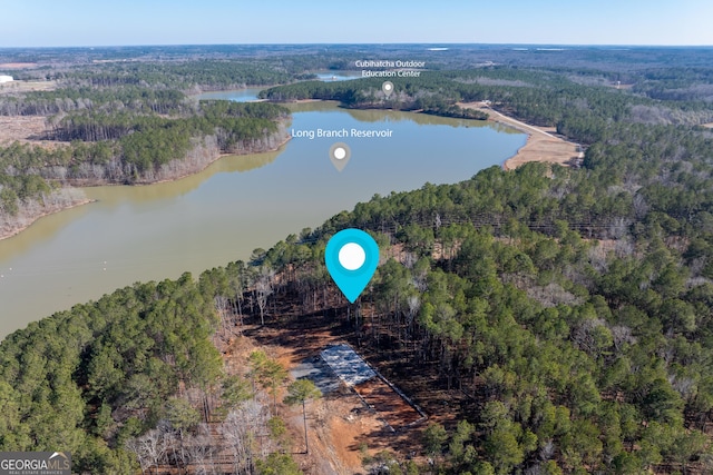 136 Sam Solomon Rd, Locust Grove GA, 30248 land for sale