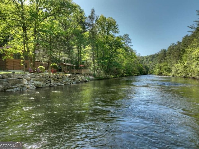 view of water feature with a wooded view