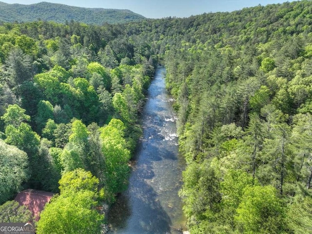 birds eye view of property with a mountain view and a forest view