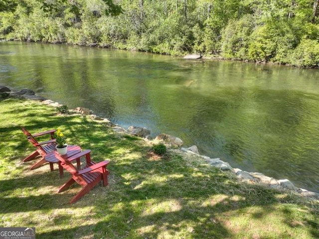 water view with a view of trees