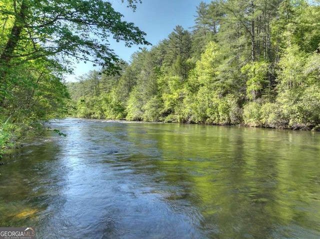 water view with a wooded view