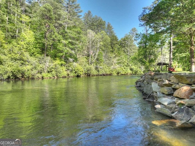 property view of water with a wooded view