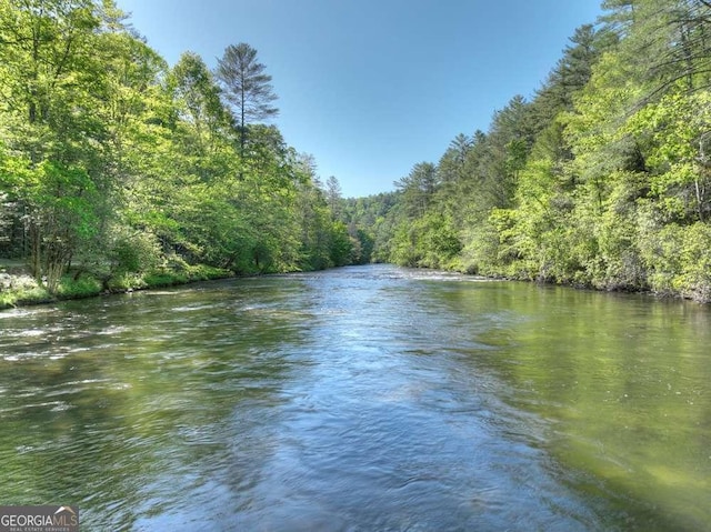 view of water feature with a forest view