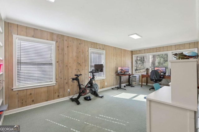 workout room featuring baseboards and carpet floors