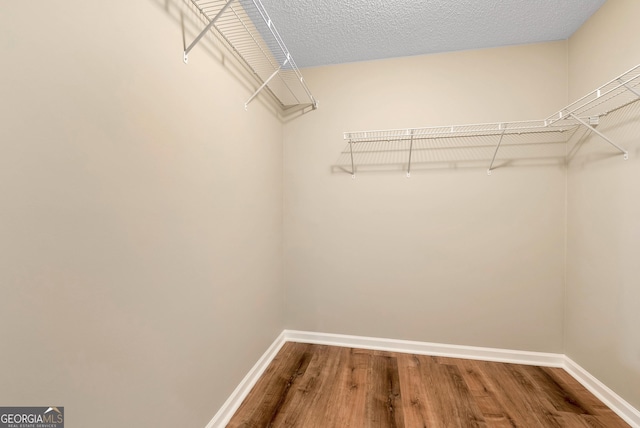 walk in closet featuring wood finished floors