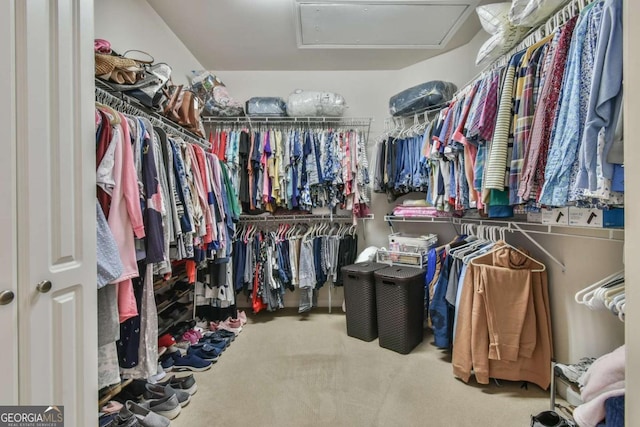 walk in closet featuring carpet floors and attic access