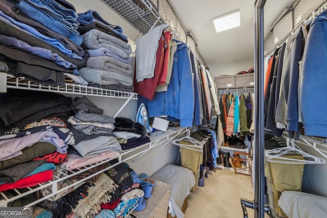 walk in closet with carpet floors