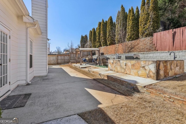 view of yard featuring a patio and a fenced backyard