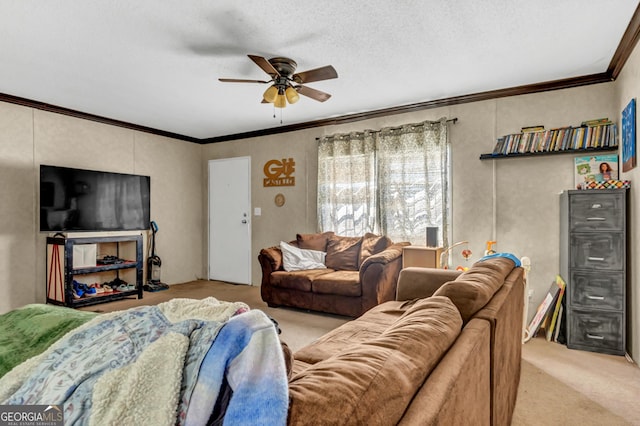 378 Temple Terrace Cir, Cairo, GA 39828 - living room featuring crown molding, a textured ceiling, a ceiling fan, and carpet flooring