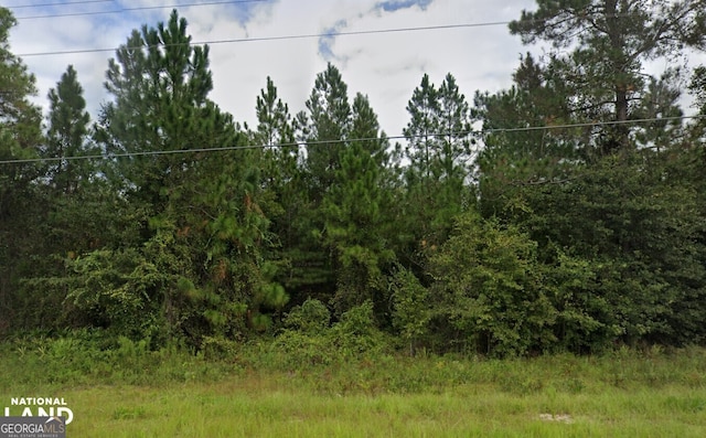 00 Tank Rd Unit A & B, Jesup GA, 31545 land for sale