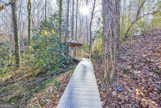 153 Coleman Heights Ln, Rabun Gap, GA 30568 - view of home's community featuring a view of trees