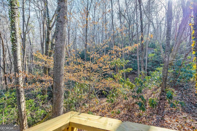 view of yard featuring a wooded view