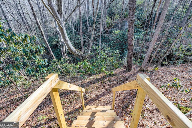 153 Coleman Heights Ln, Rabun Gap, GA 30568 - view of yard