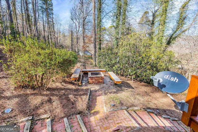 153 Coleman Heights Ln, Rabun Gap, GA 30568 - view of yard
