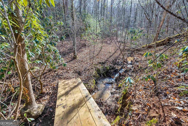 153 Coleman Heights Ln, Rabun Gap, GA 30568 - view of wooded area