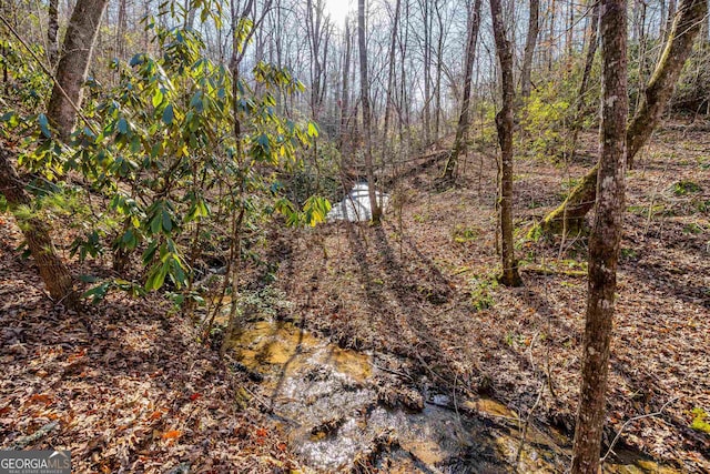 153 Coleman Heights Ln, Rabun Gap, GA 30568 - view of nature