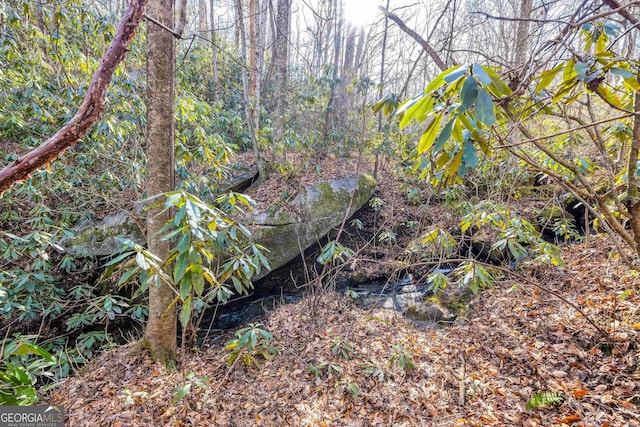 view of landscape with a wooded view