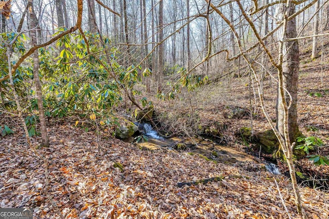 153 Coleman Heights Ln, Rabun Gap, GA 30568 - view of wooded area