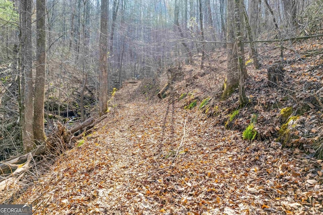 view of local wilderness with a view of trees