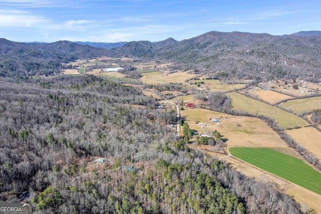 birds eye view of property featuring a mountain view and a rural view