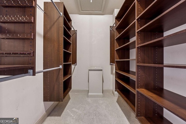 walk in closet with carpet floors