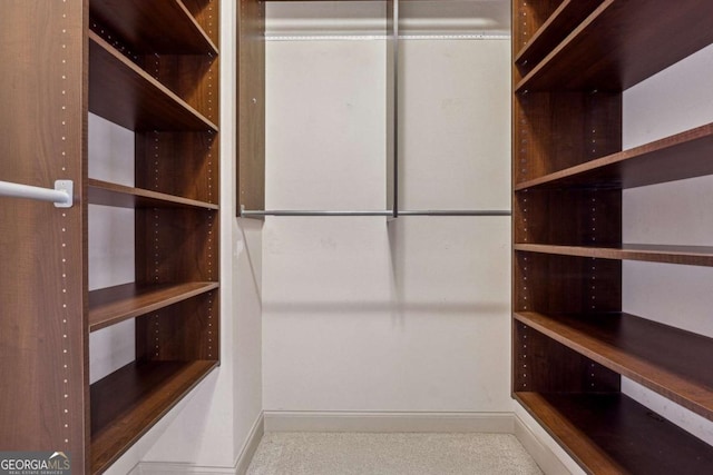 view of walk in closet