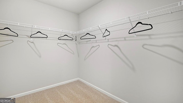 walk in closet with carpet floors