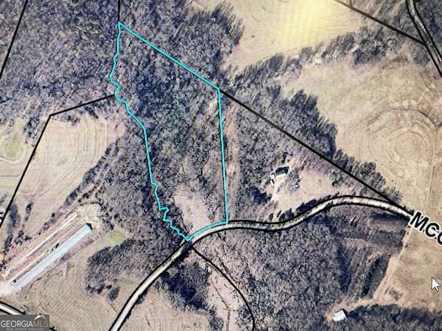 000 Mcclain Rd, Martin GA, 30557 land for sale