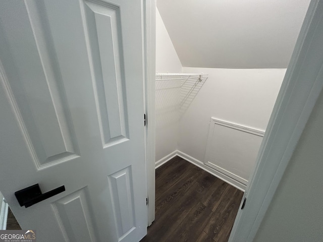 spacious closet featuring dark wood-style floors and lofted ceiling