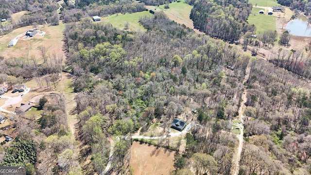 90 Jefferson Rd, Statham, GA 30666 - bird's eye view featuring a forest view
