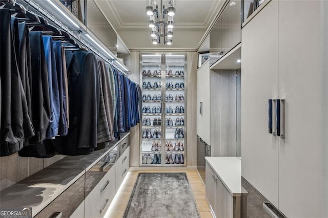 walk in closet with light wood-style flooring