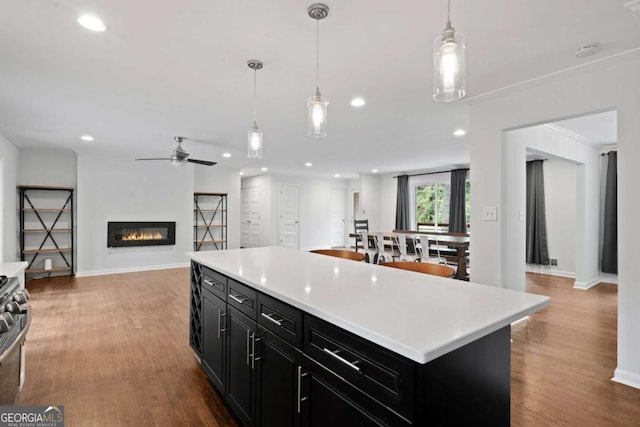 kitchen featuring open floor plan, dark cabinets, and wood finished floors