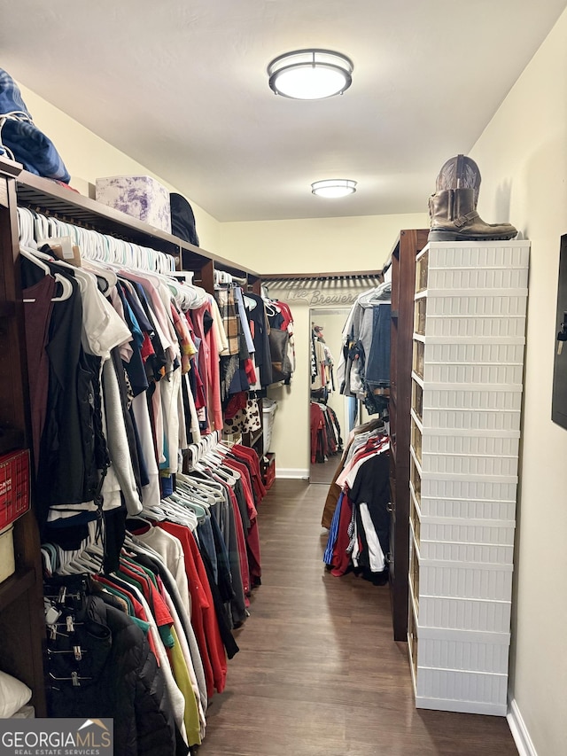 walk in closet featuring wood finished floors