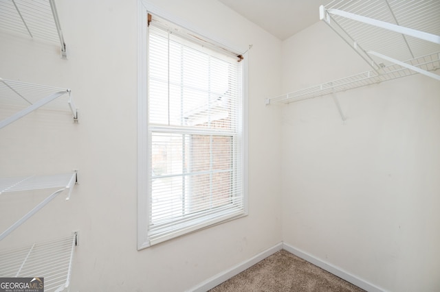 walk in closet featuring carpet