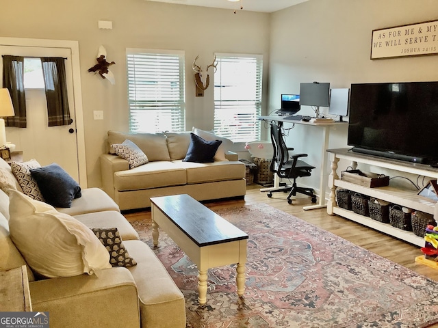 living room with wood finished floors