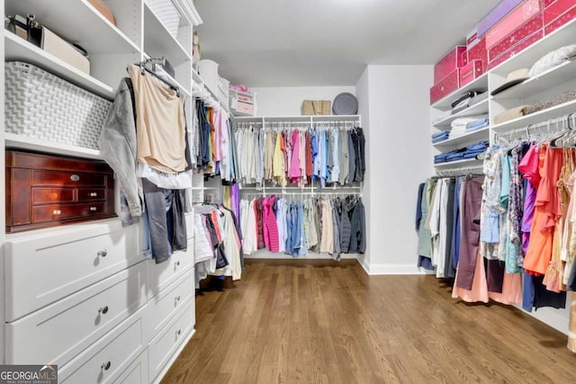 spacious closet featuring wood finished floors