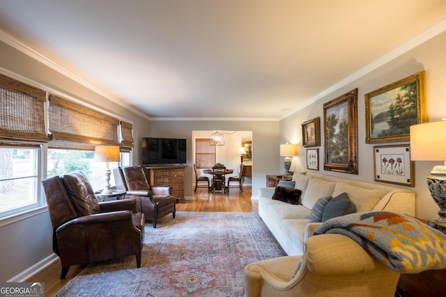 living room featuring crown molding, baseboards, and wood finished floors