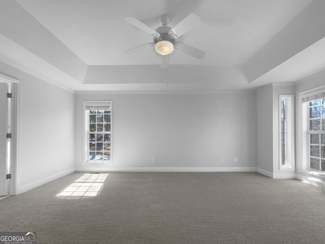 unfurnished room featuring carpet floors, a raised ceiling, and a healthy amount of sunlight