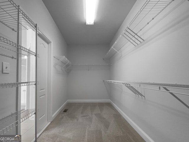 spacious closet featuring carpet flooring