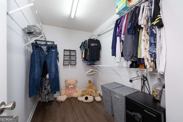 spacious closet featuring wood finished floors