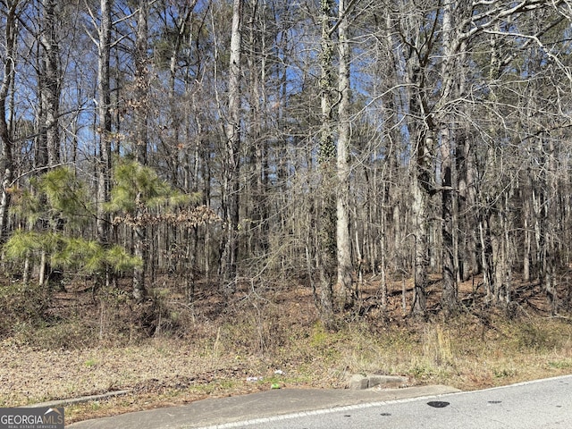 0 N Jonesville Rd, Bowdon GA, 30108 land for sale