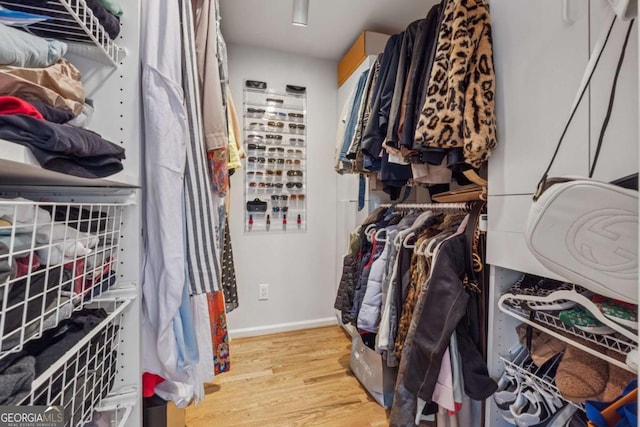 walk in closet featuring wood finished floors