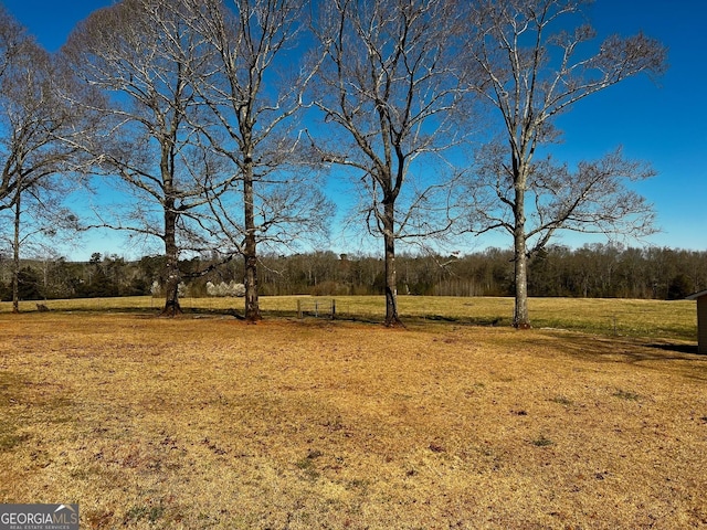 view of yard with a wooded view