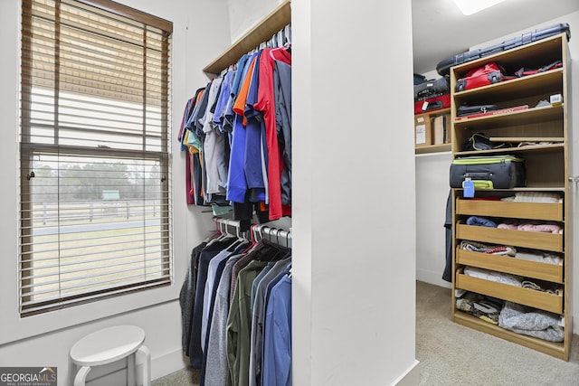 walk in closet featuring carpet floors