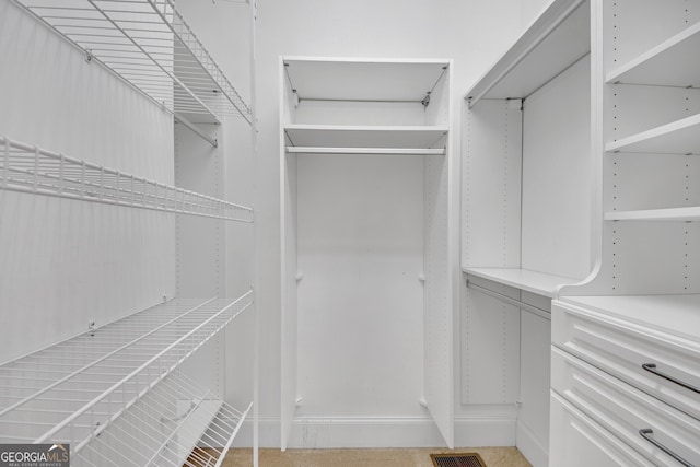 view of spacious closet