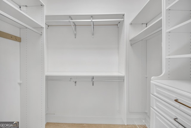 view of spacious closet