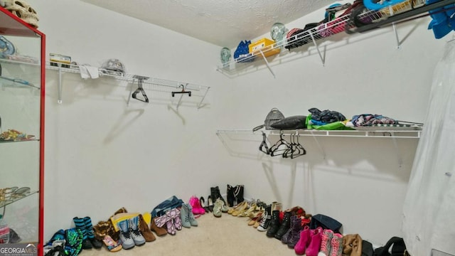 spacious closet with carpet