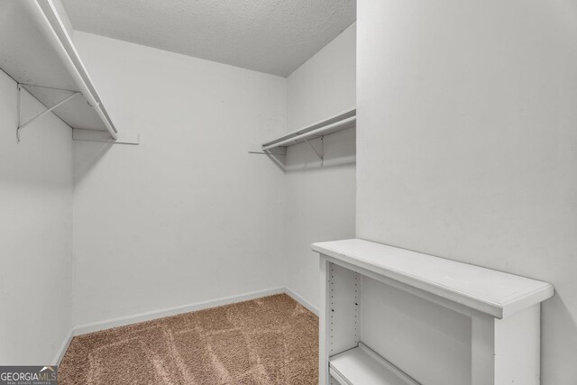 spacious closet with carpet