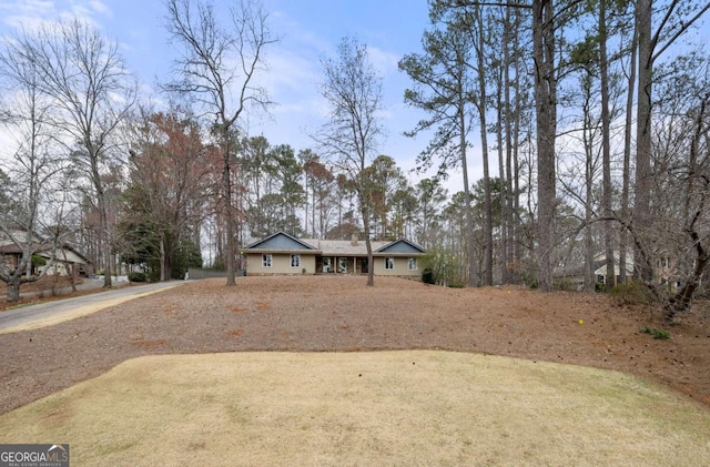 view of yard with driveway